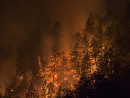 Multiple Wildfires Continue To Ravage Through California Wine Country