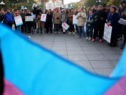 Activists Hold Rally In New York City For Trans And GNC Rights