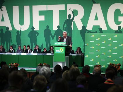 German Greens Party National Convention