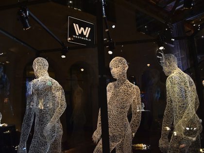 Premiere Of HBO's "Westworld" - After Party