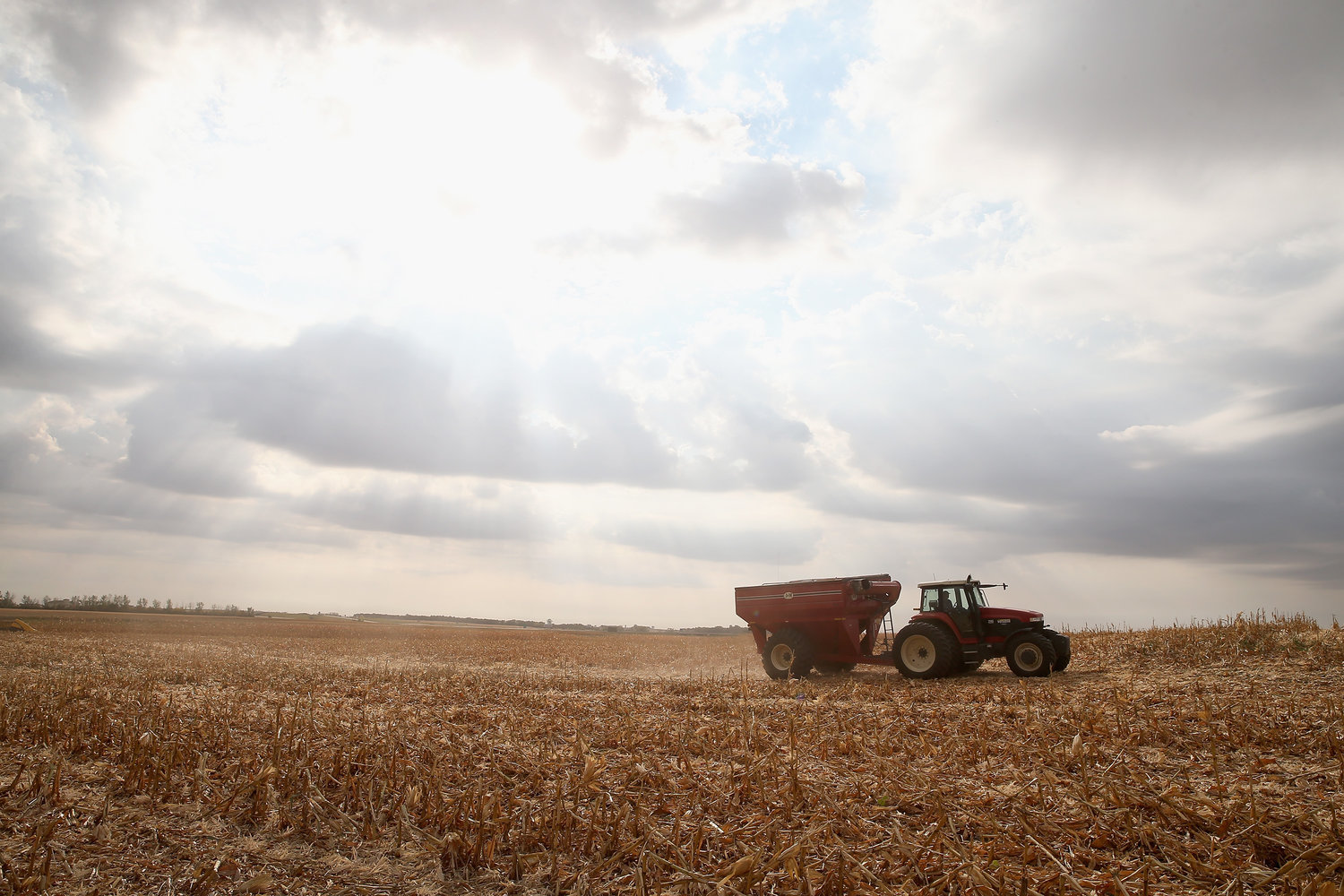 U.S. Farm Earnings Drop 14.6 Percent In Third Quarter AFter A Decline In Output