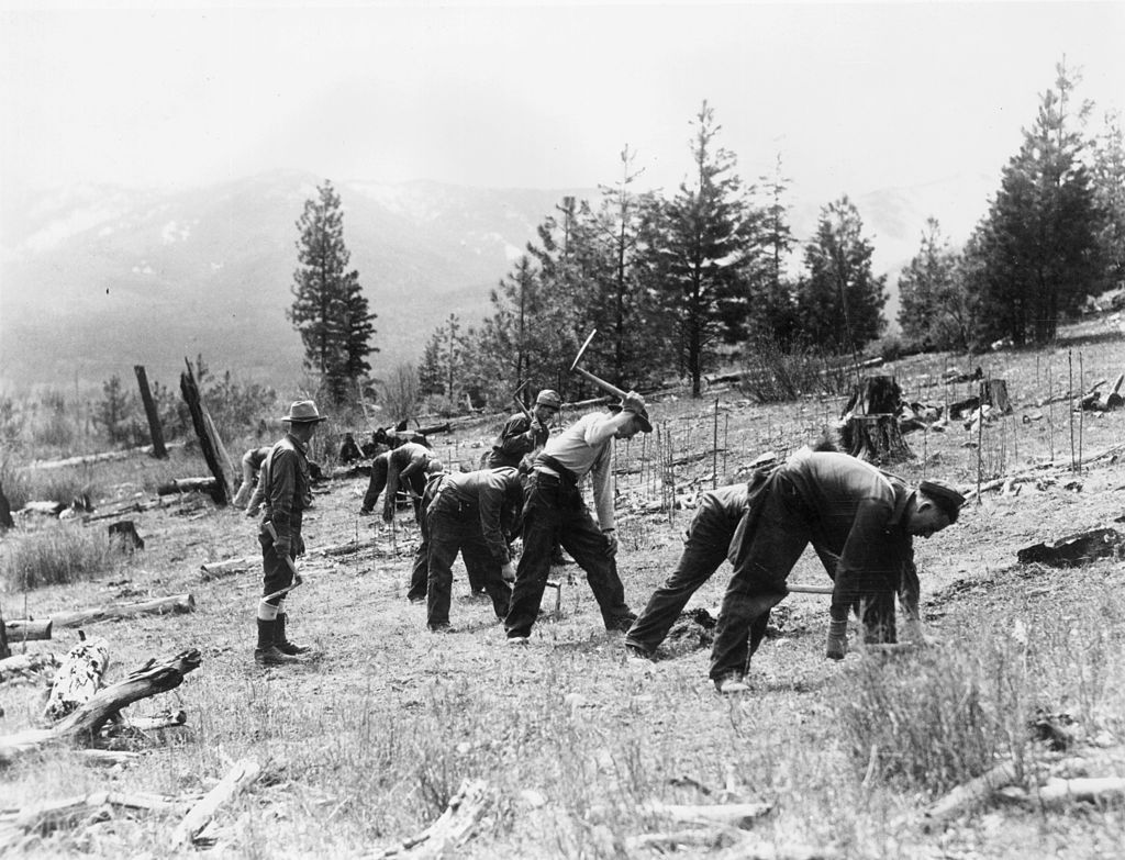 Conservation Corps