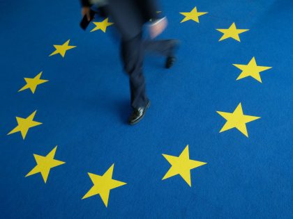 Political Parties React To European Parliamentary Election Results