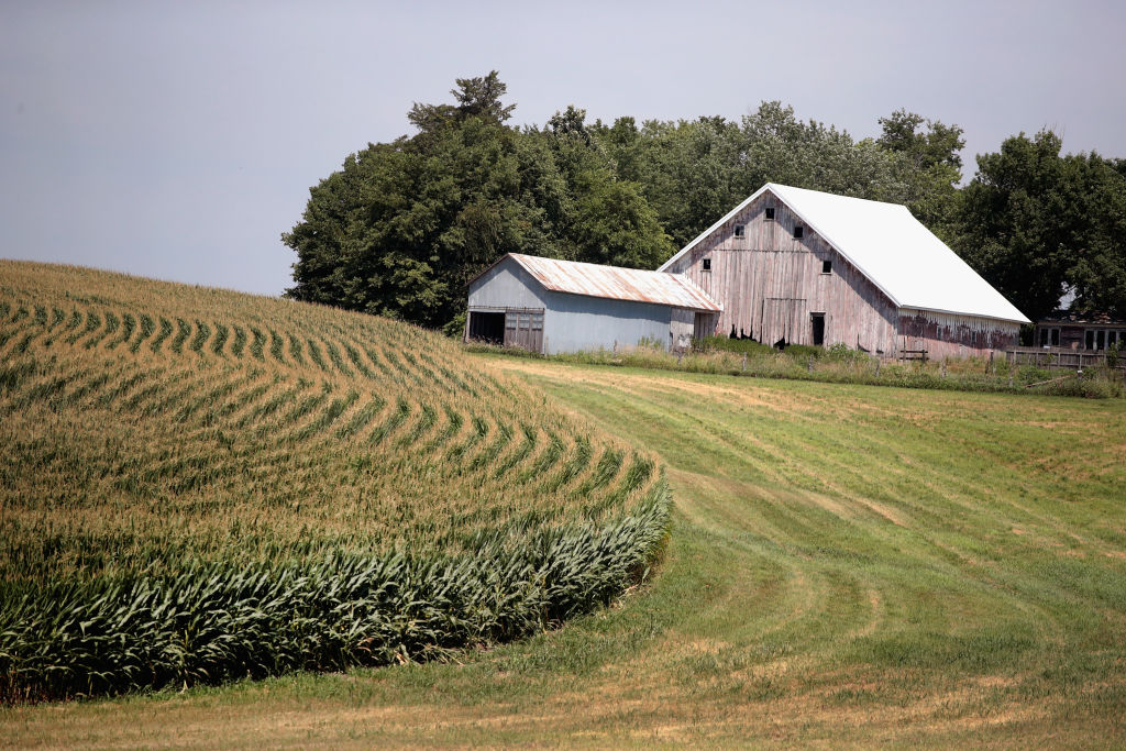 Iowa's Agricultural Economy Under Threat From Trade War With China