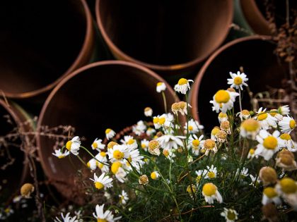 Proposed Keystone XL Pipeline To Run From Canada To Gulf Of Mexico