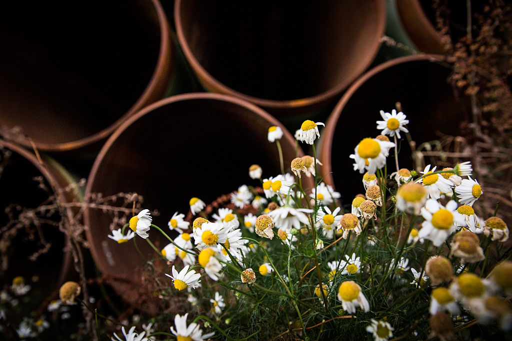 Proposed Keystone XL Pipeline To Run From Canada To Gulf Of Mexico