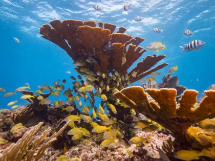 Yucatan Peninsula