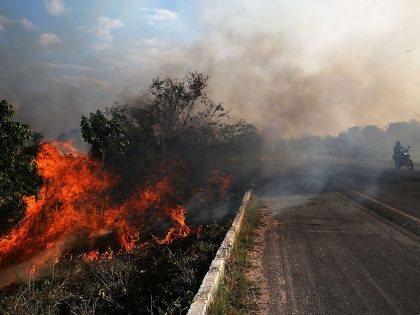 Deforestation In Brazil's Amazon Skyrockets After Years Of Decline