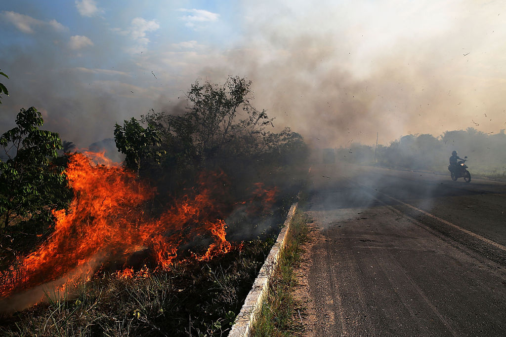 Deforestation In Brazil's Amazon Skyrockets After Years Of Decline