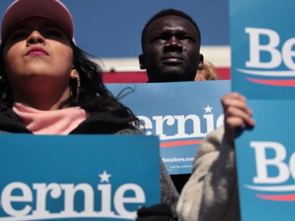 Democratic Presidential Candidate Bernie Sanders Holds Rally In Grand Rapids, Michigan