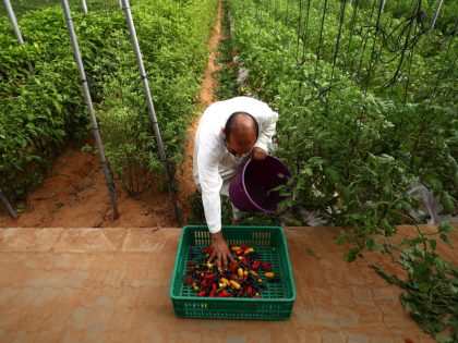 Emirates Bio Farm Remains Open For Home Delivery During Coronavirus Crisis