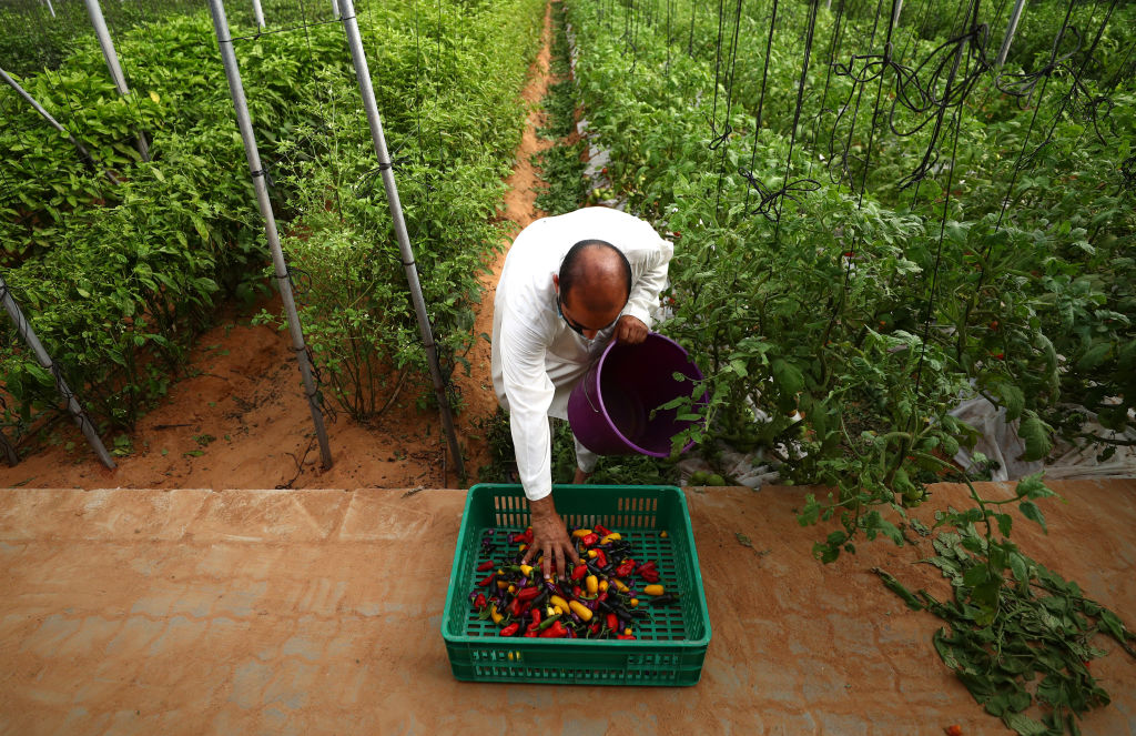 Emirates Bio Farm Remains Open For Home Delivery During Coronavirus Crisis