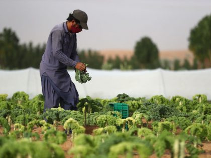 Emirates Bio Farm Remains Open For Home Delivery During Coronavirus Crisis