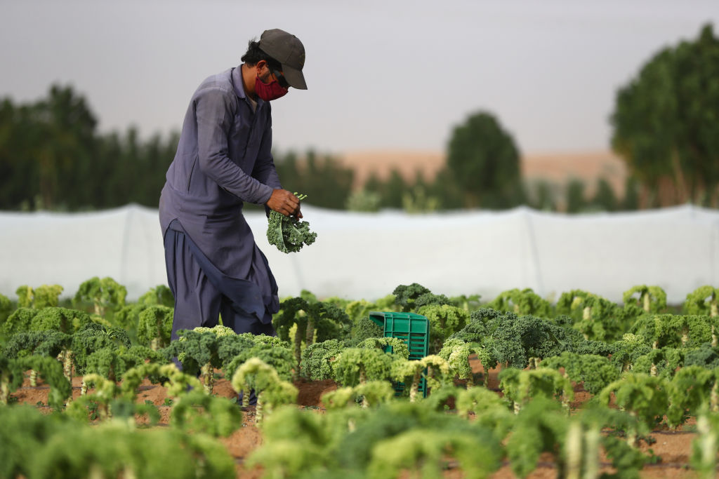 Emirates Bio Farm Remains Open For Home Delivery During Coronavirus Crisis