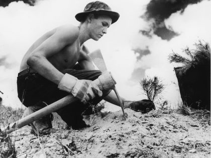 Civilian Conservation Corps