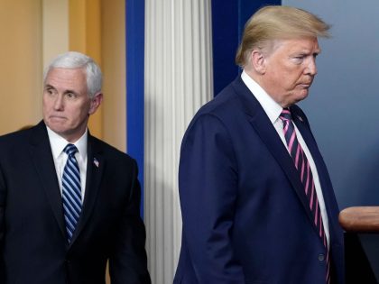 The White House Holds Daily Briefing On Coronavirus Pandemic