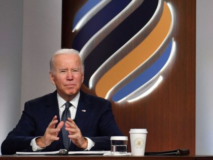 BIDEN-POLITICS-democracy-politics-diplomacy-US-government