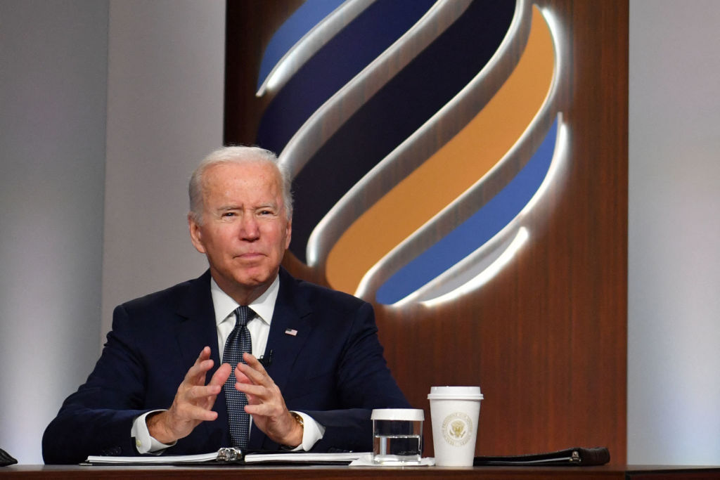 BIDEN-POLITICS-democracy-politics-diplomacy-US-government