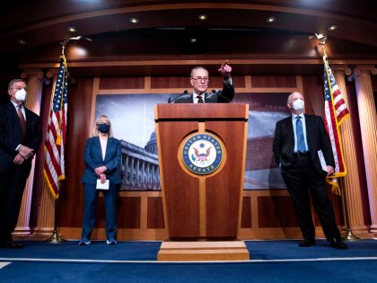 US-POLITICS-SCHUMER-GUNS