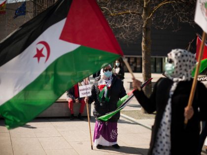 A Saharawi woman holds a Sahara flag 
during the