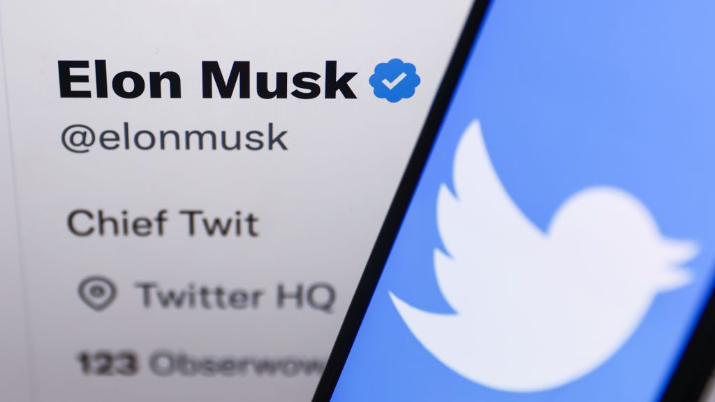 Elon Musk 'Chief Twit' Photo Illustrations