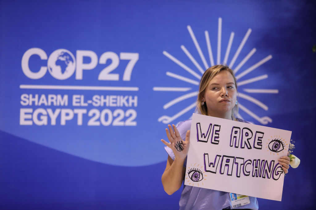 Climate and environmental activists demonstrate in Egypt