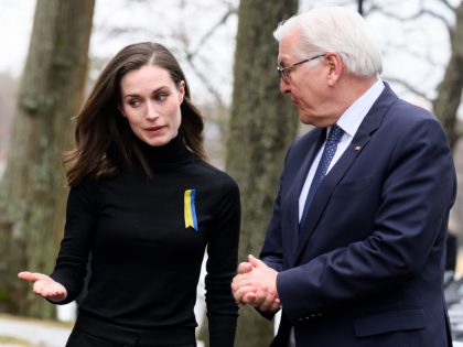 Steinmeier: Germany supports Finland's eventual membership in NATO