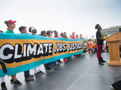 2017 Climate March in Washington