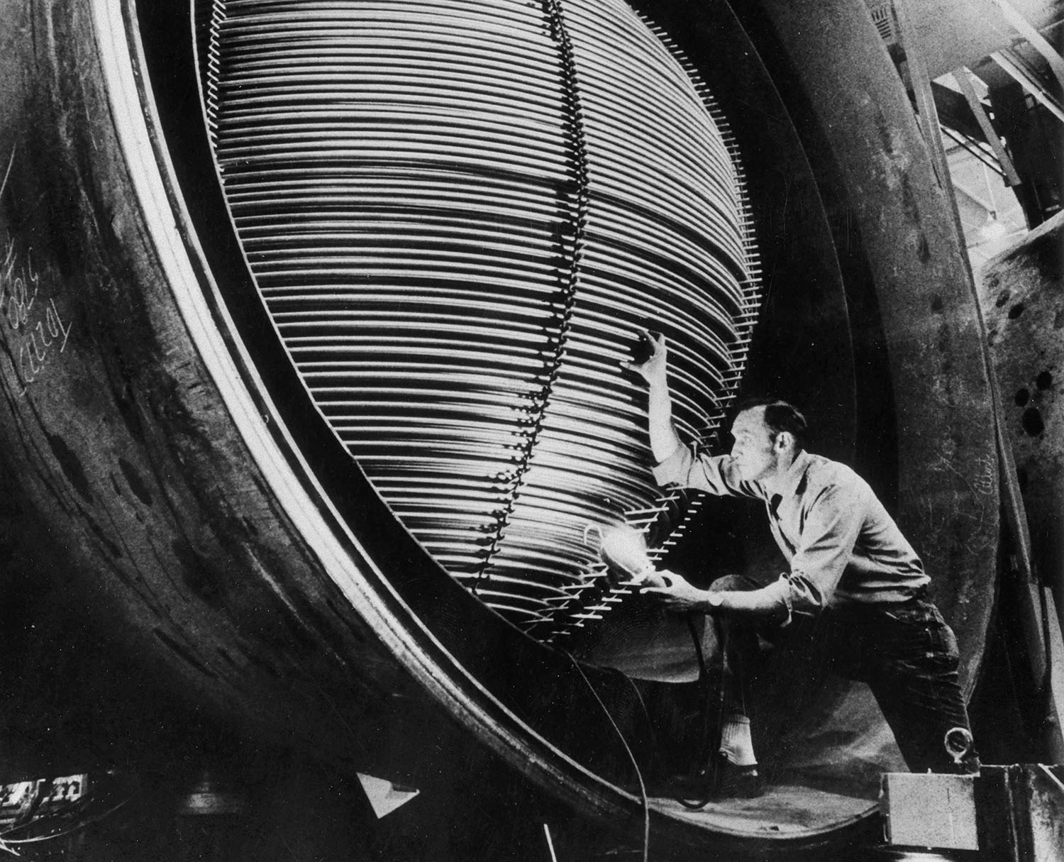 Nuclear Plant Inspector