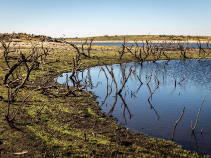 Drought Declared In Parts Of England