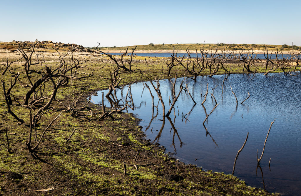 Drought Declared In Parts Of England