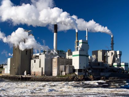 Industry and nature clash on the Saint John River, Canada n5