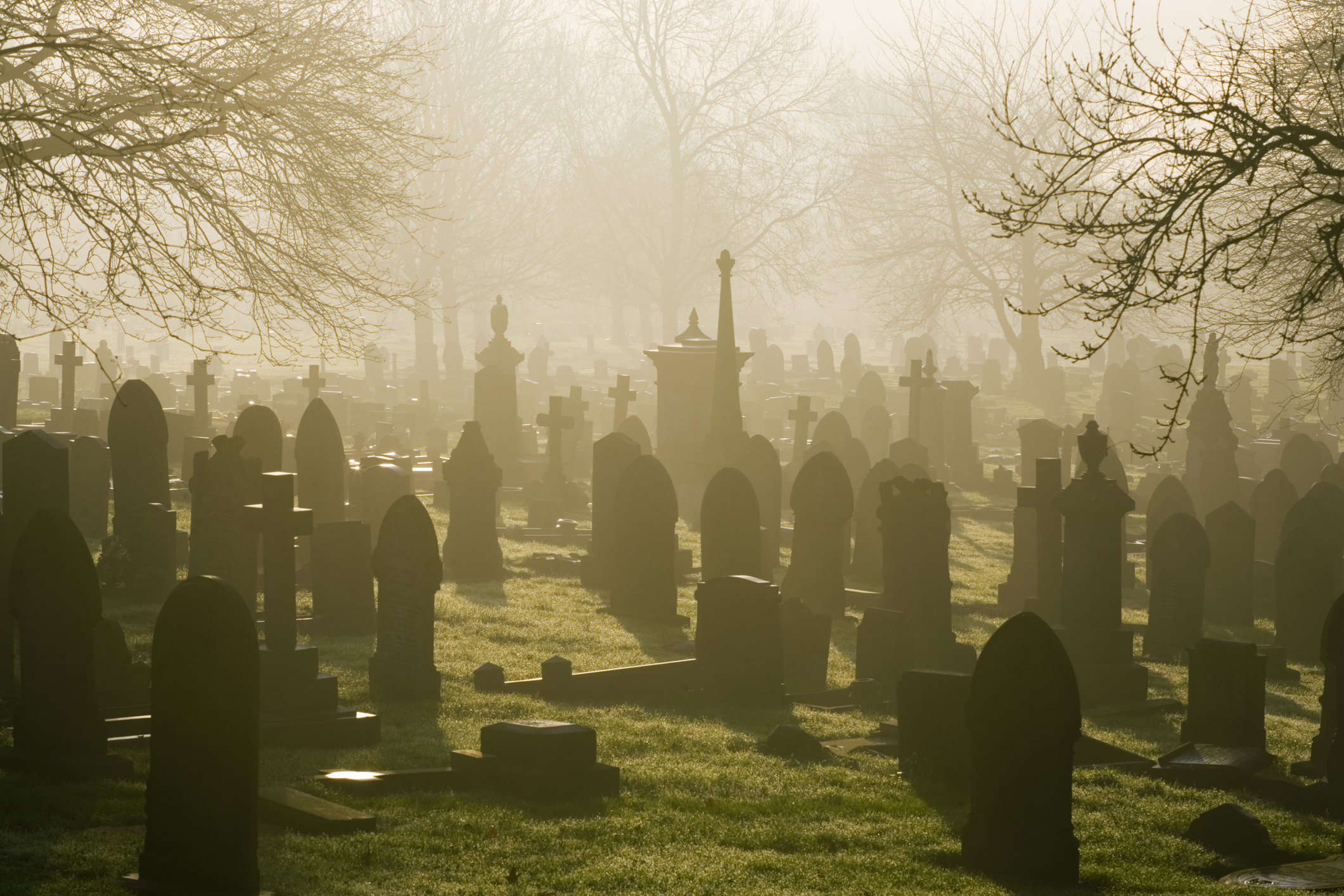 Misty Cemetery