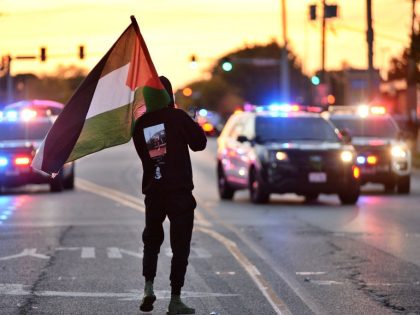Pro-Palestinian demonstration in Illinois