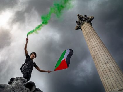 Pro Palestine Protest, London, UK.