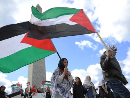 March On National Mall Calls For Ceasefire In Gaza