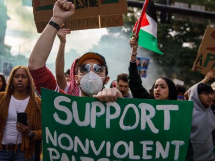 Pro-Palestinian demonstration in Pennsylvania