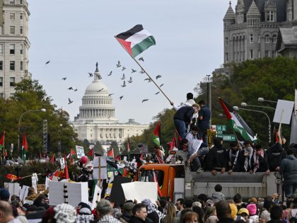 Pro-Palestine demonstration in Washington DC