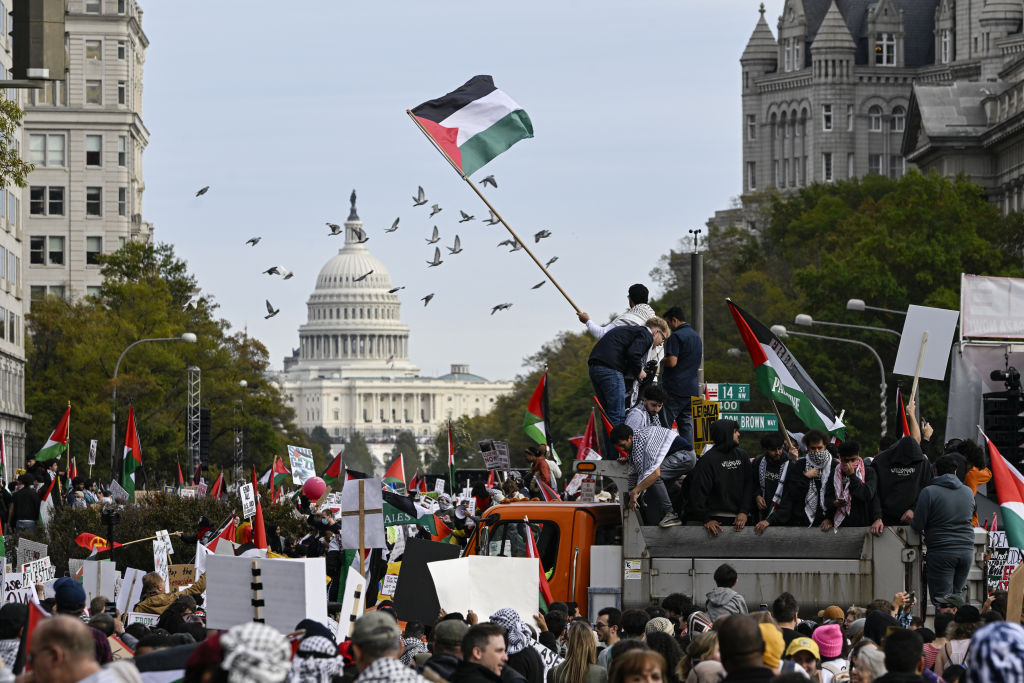 Pro-Palestine demonstration in Washington DC