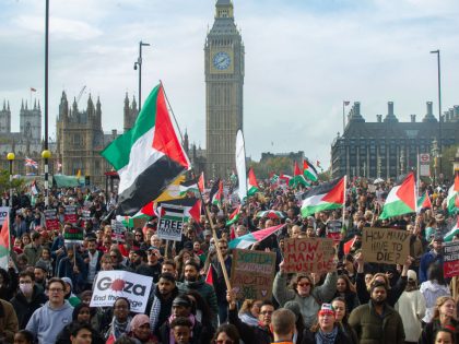 Pro-Palestinian Protest In London