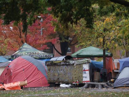 Winter is fast approaching, and the city is in the grips of a shelter capacity crisis that's left hundreds turned away per day