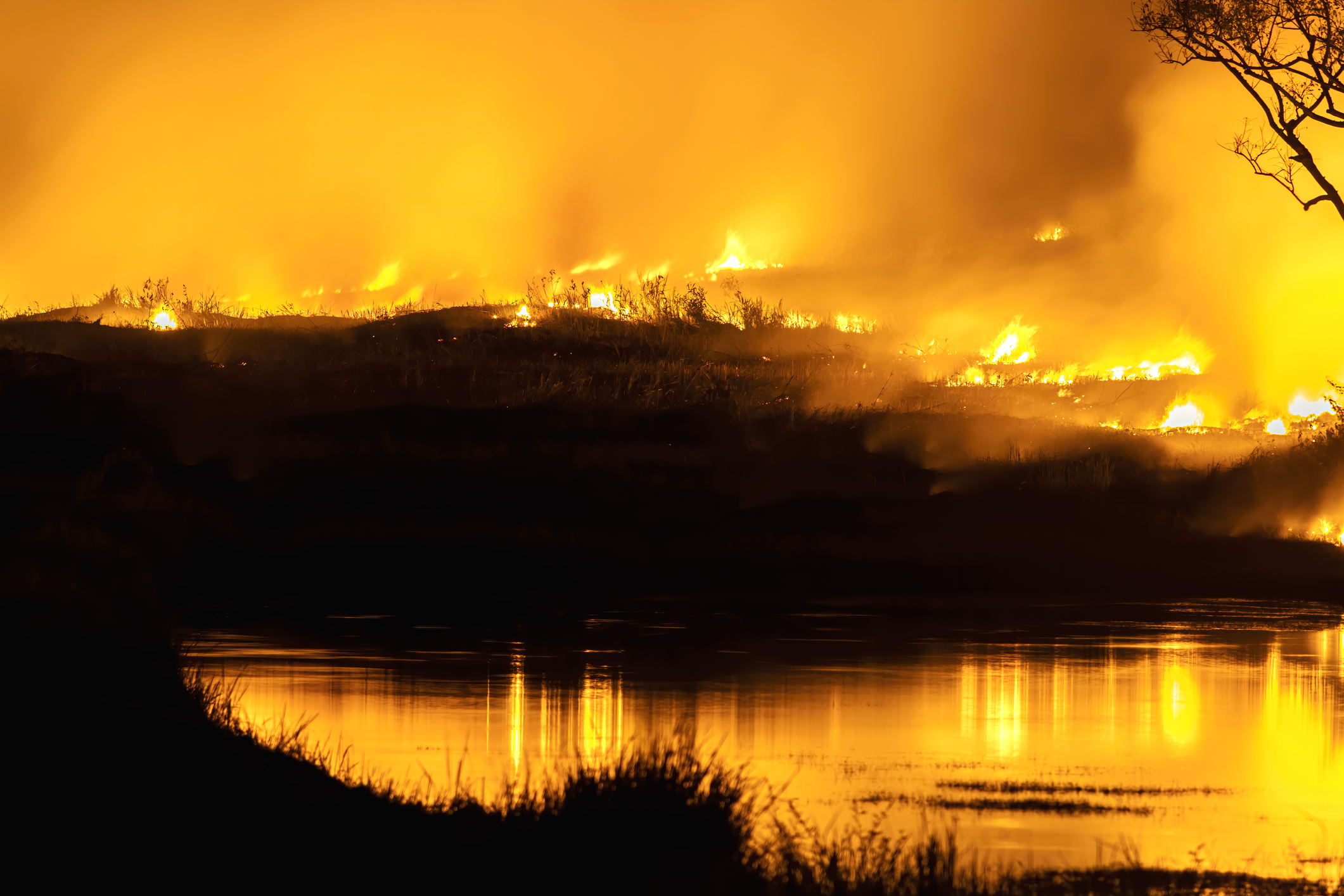 Forest fires, bushfires with flames, and illuminated smoke clouds by Climate Change