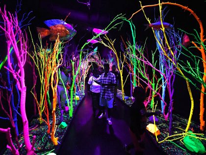 US-ENTERTAINMENT-MEOWWOLF-GAMEOFTHRONES