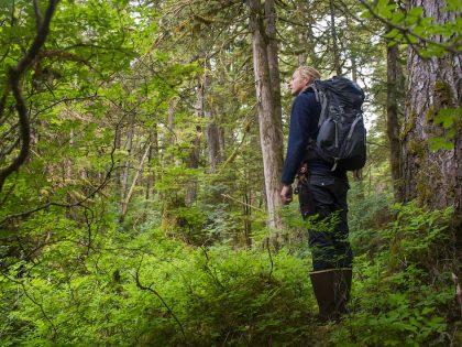 People bushwhacking through the forest in Takatz Bay on