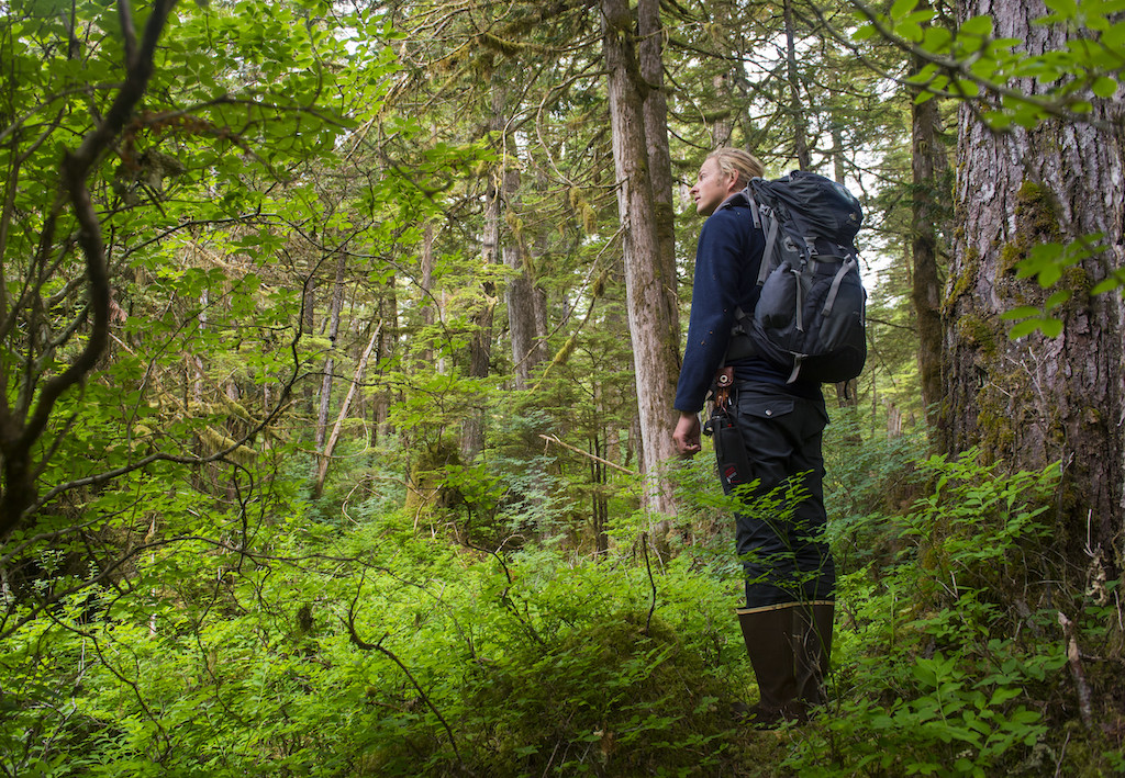 People bushwhacking through the forest in Takatz Bay on