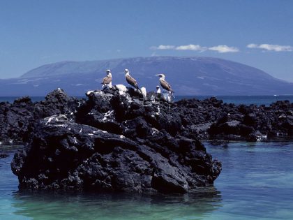 The Galapagos Islands