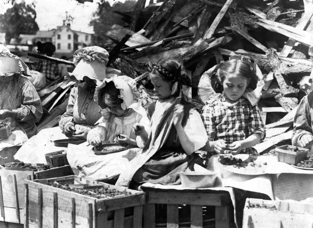 Child labour in the USA 1910. 'hulling' strawberries.