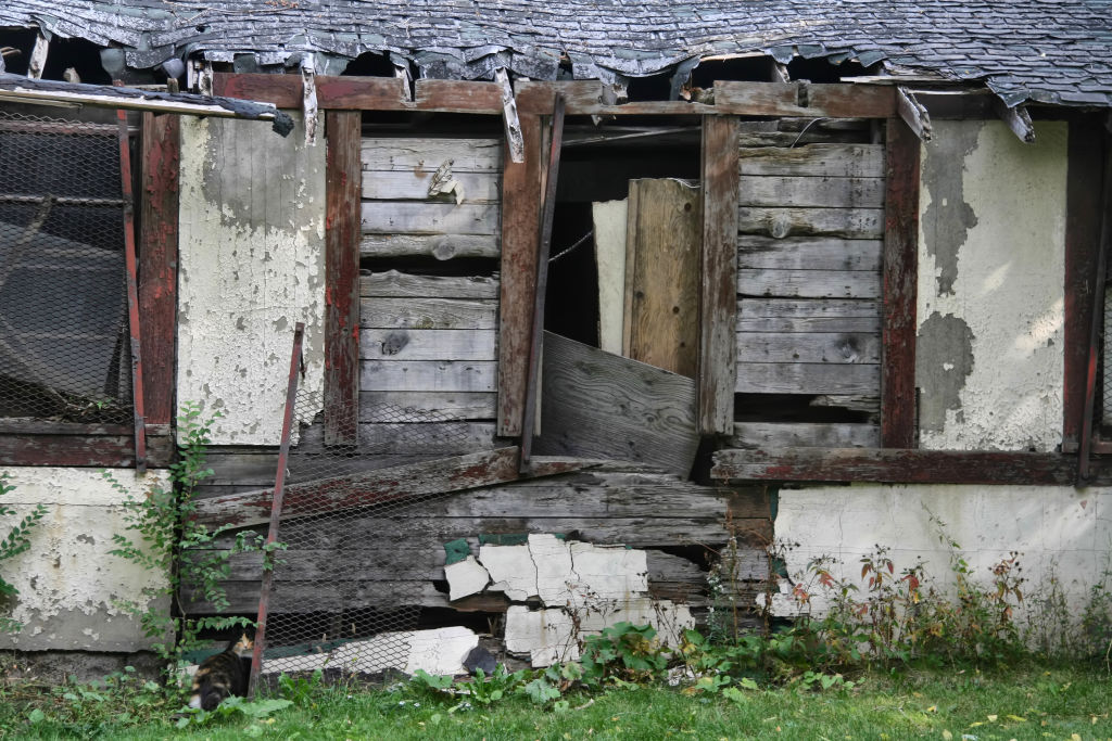 Daily Life In Windsor