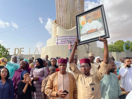 TOPSHOT-NIGER-POLITICS