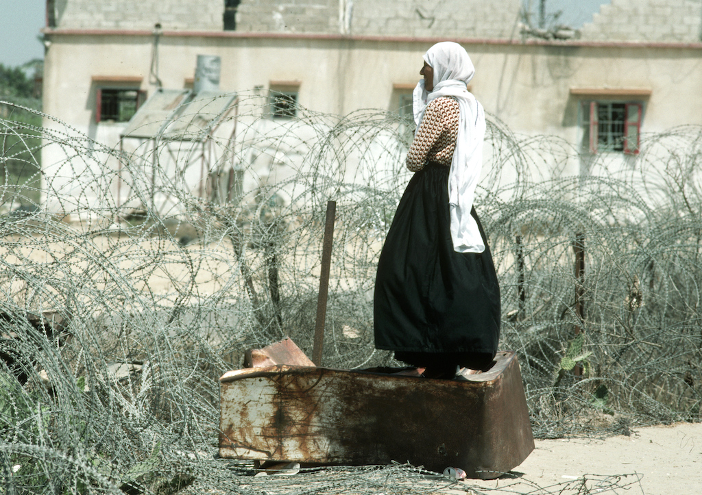 Palestinian Refugee
